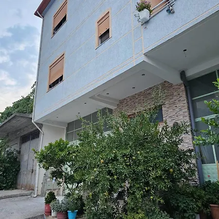 Проживание в семье Livia *